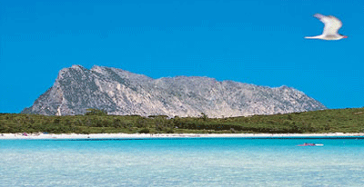 Mare della Sardegna Nord Orientale